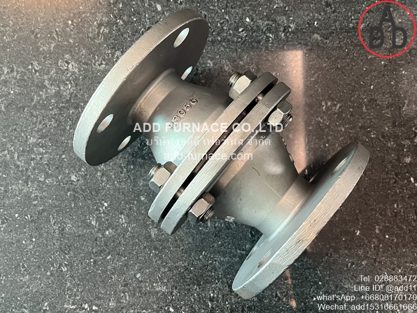 Arrester Fire Back Valve Flange DN50(4)